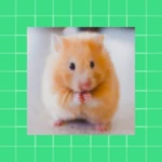 Logo of Hamster Wallpapers android Application 