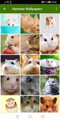 Hamster Wallpapers android App screenshot 9